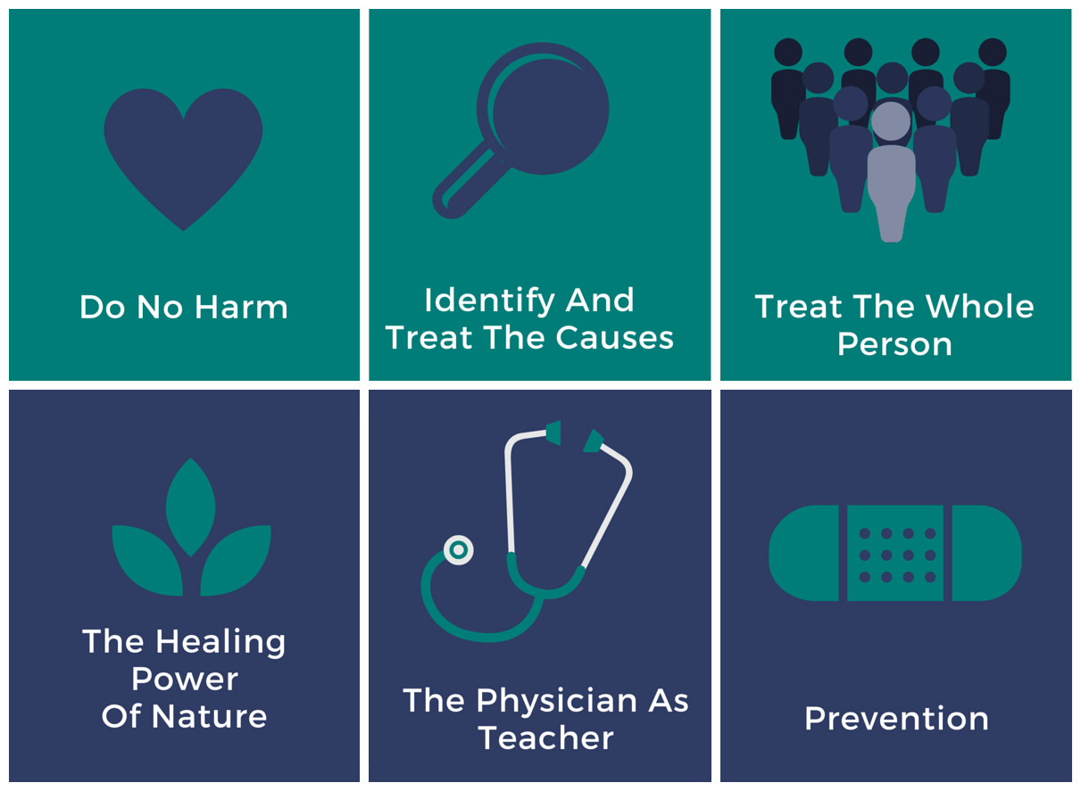 6 principles of naturopathic medicine Green Lake Natural Medicine