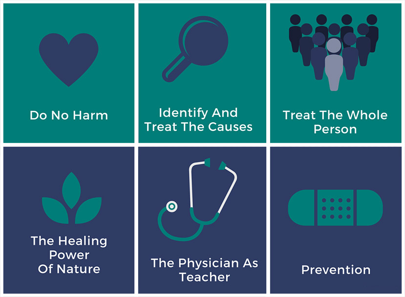 Principles of Naturopathic Medicine