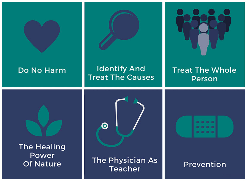 Principles Of Naturopathic Medicine Green Lake Natural Medicine